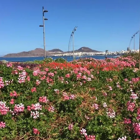 El Atico De Mateo 5a Las Palmas / Gran Canaria